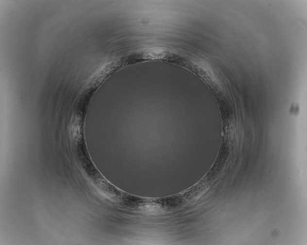 X0000091680598200709061106
