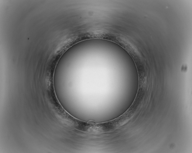X0000091680599200709061106