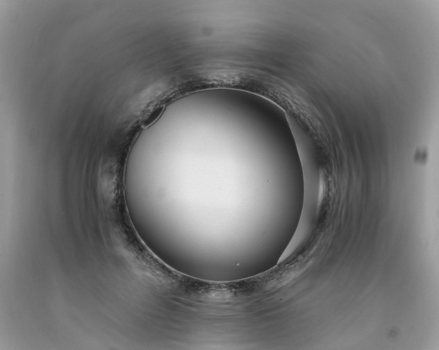 X0000091680600200709061106