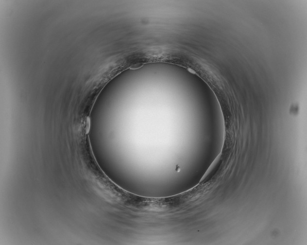 X0000091680601200709061106