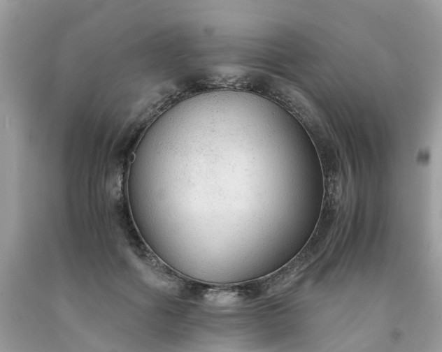 X0000091680602200709061106