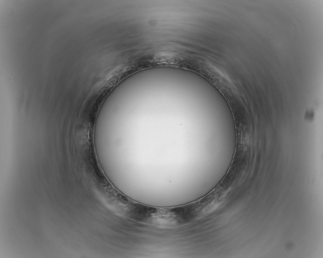 X0000091680603200709061106