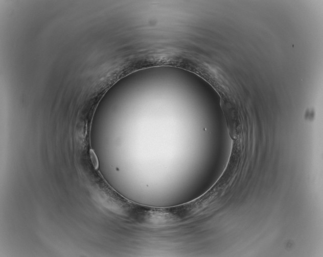 X0000091680605200709061106