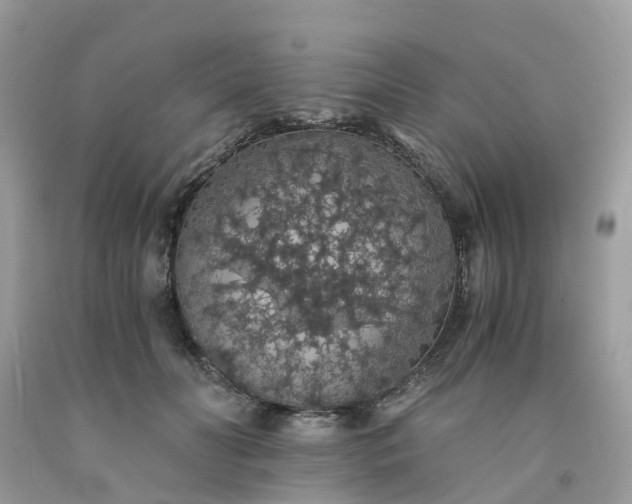 X0000091680606200709061106