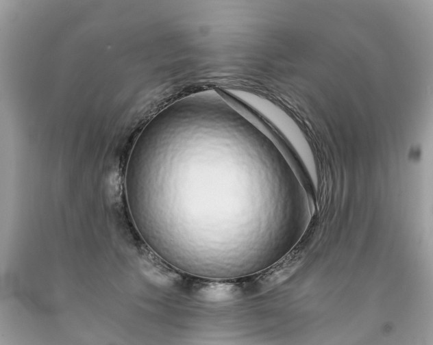 X0000091680609200709061106