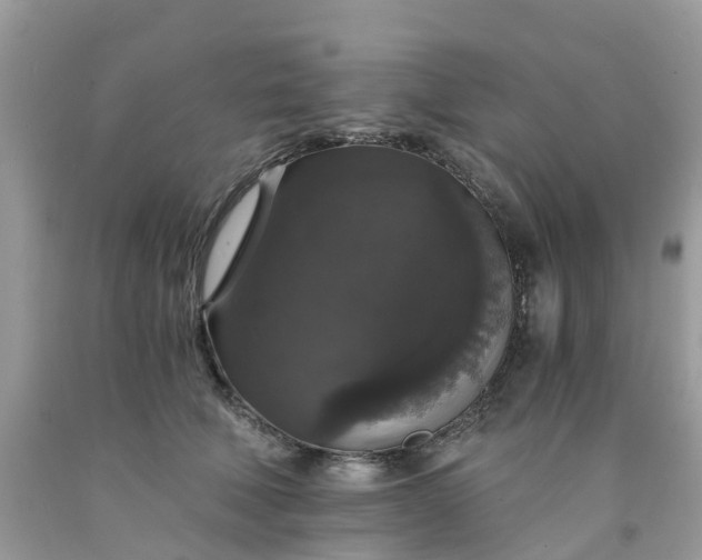 X0000091680610200709061106
