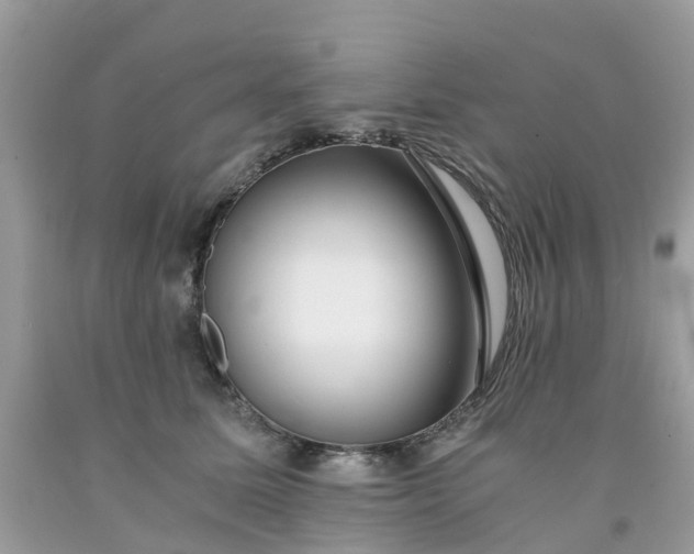 X0000091680611200709061106