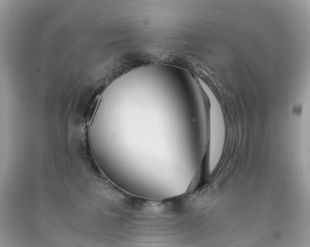 X0000091680613200709061105