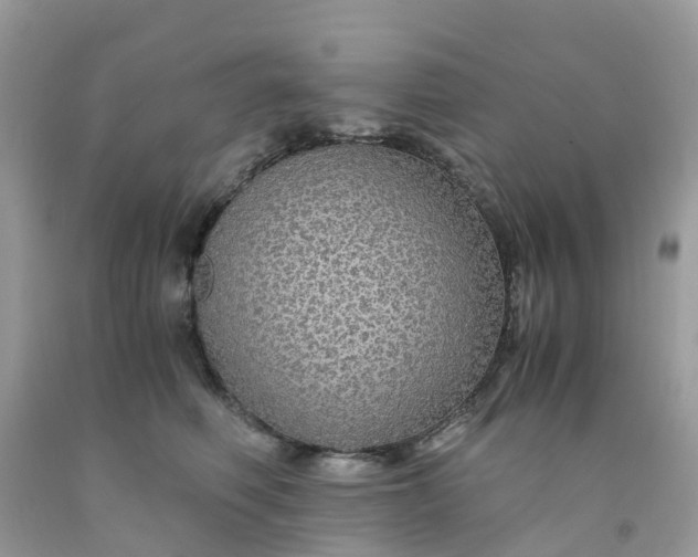 X0000091680614200709061105