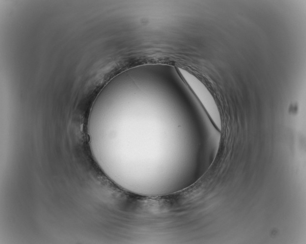 X0000091680615200709061105