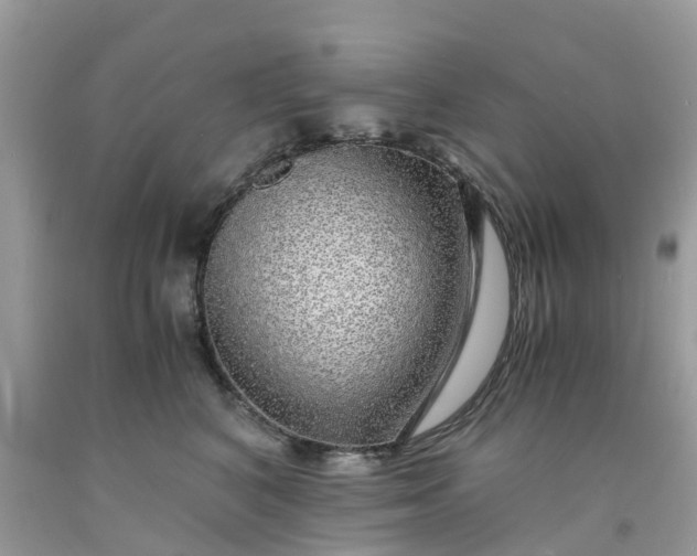 X0000091680616200709061105