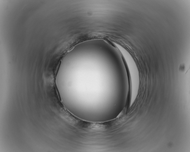 X0000091680617200709061105