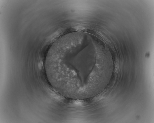 X0000091680618200709061105