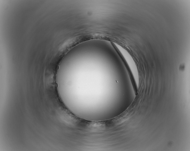 X0000091680619200709061105