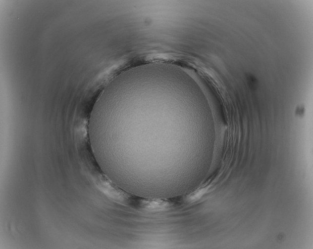 X0000091680621200709061105