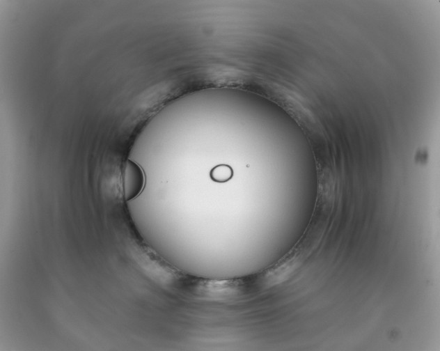 X0000091680622200709061105