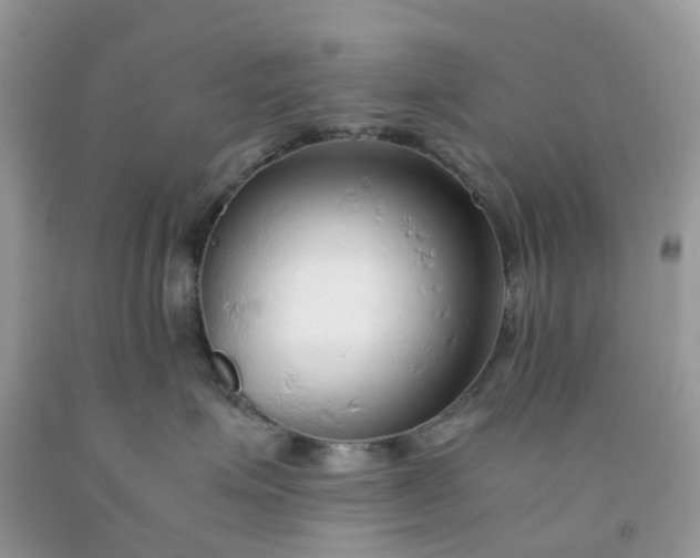 X0000091680623200709061105