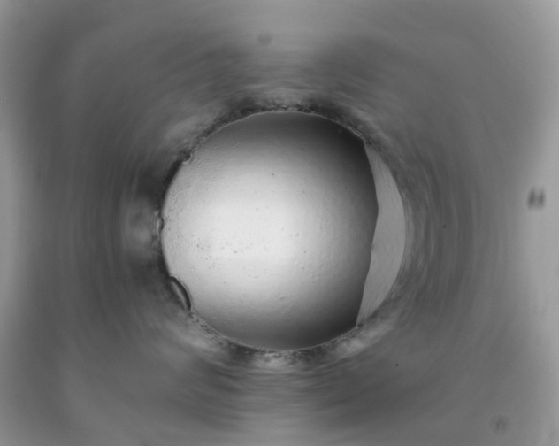 X0000091680624200709061105