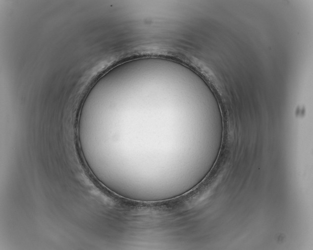 X0000091680625200709061105