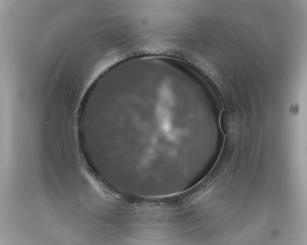 X0000091680626200709061105