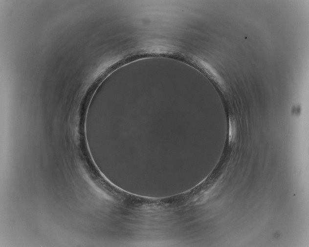 X0000091680627200709061105