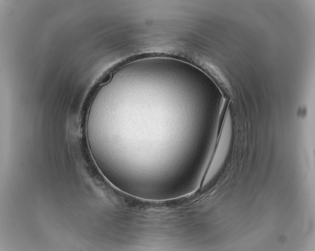 X0000091680628200709061105
