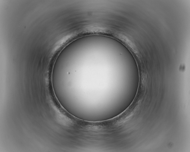 X0000091680629200709061105