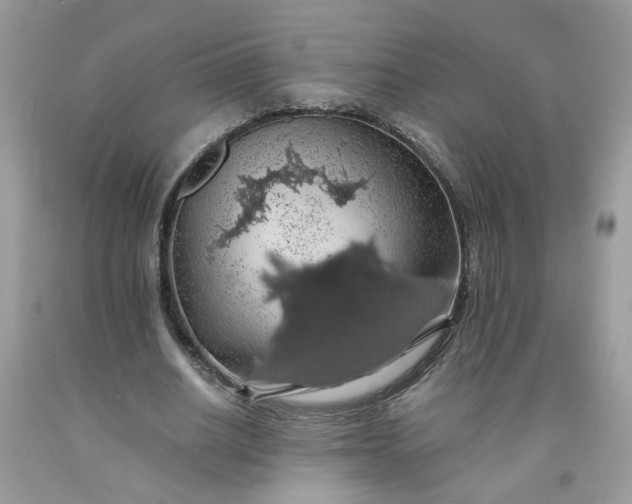 X0000091680630200709061105
