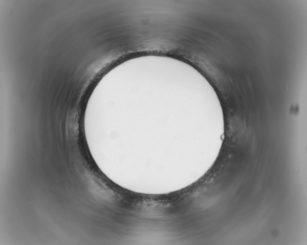 X0000091680632200709061105