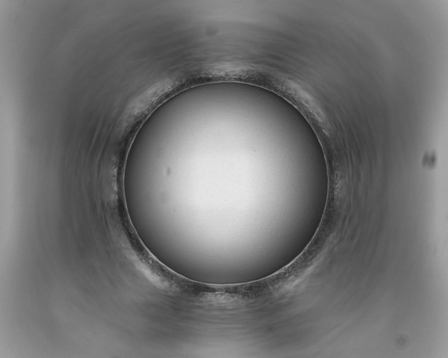 X0000091680633200709061105