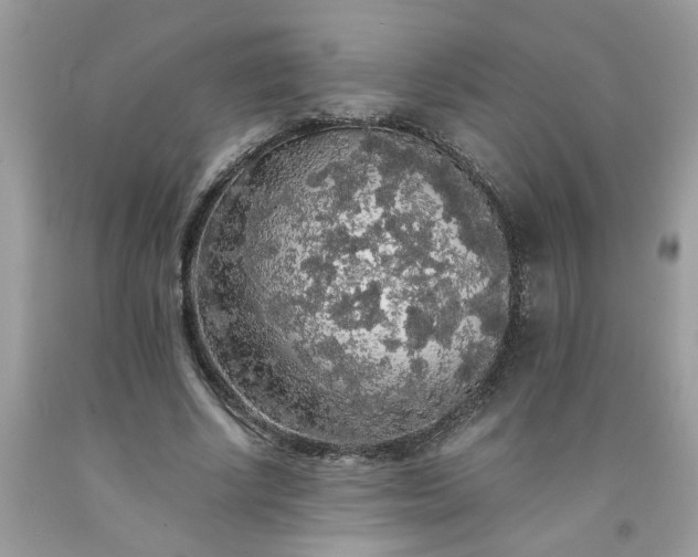 X0000091680634200709061105
