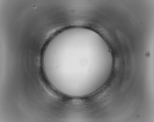 X0000091680636200709061105