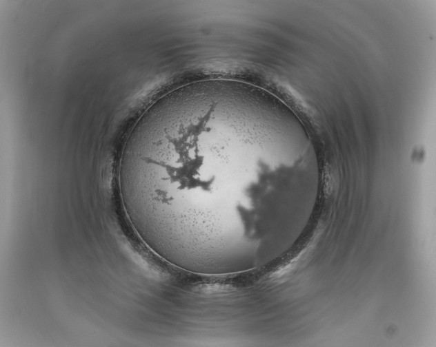 X0000091680637200709061105