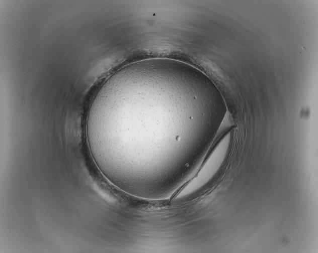 X0000091680638200709061105
