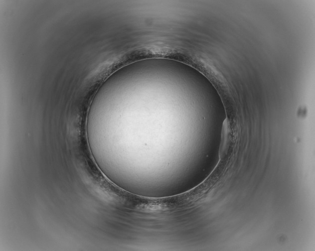 X0000091680639200709061105