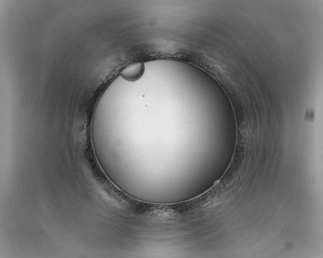 X0000091680642200709061105
