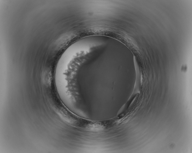X0000091680644200709061105