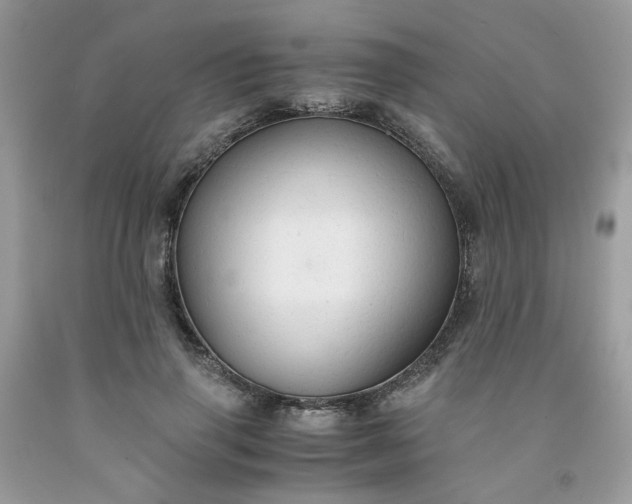 X0000091680645200709061105