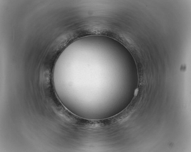 X0000091680646200709061105