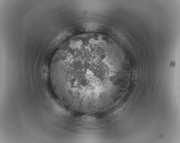 X0000091680648200709061105