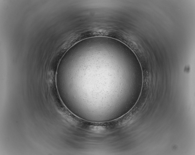 X0000091680649200709061105