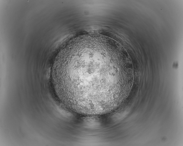 X0000091680652200709061105