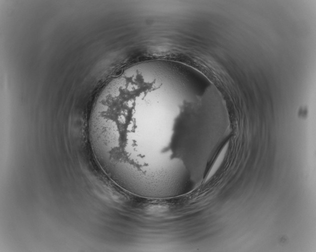 X0000091680653200709061105