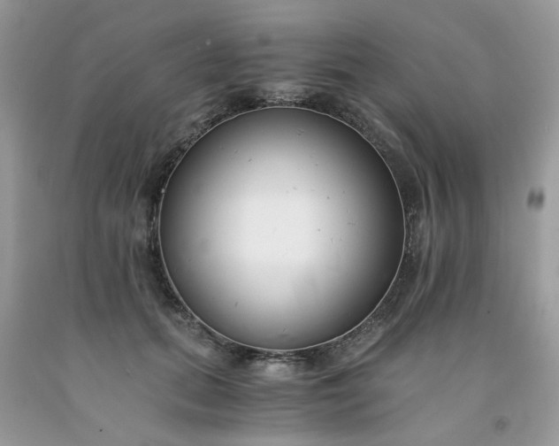 X0000091680655200709061105