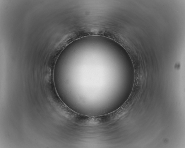X0000091680656200709061105