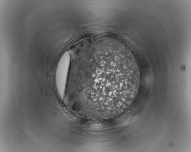 X0000091680658200709061105