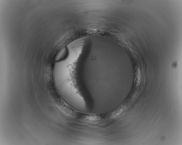 X0000091680659200709061105