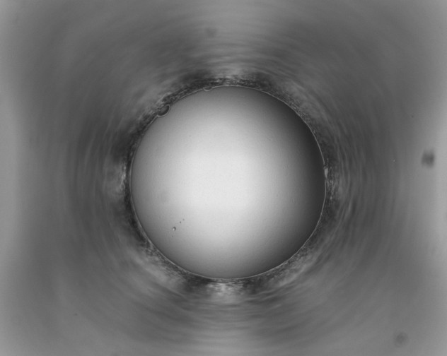 X0000091680660200709061105