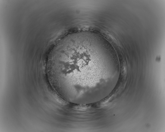X0000091680661200709061105