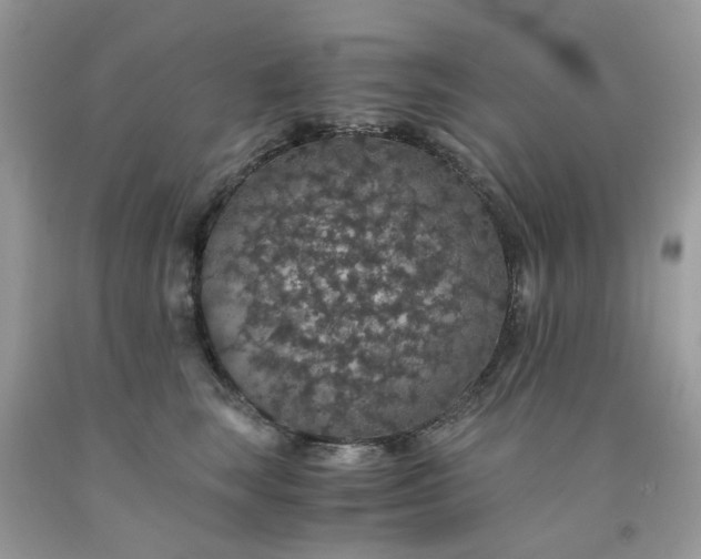 X0000091680663200709061105